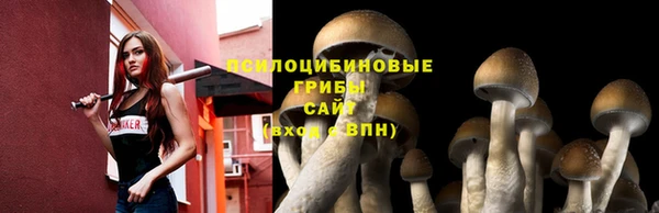 Альфа ПВП Вяземский