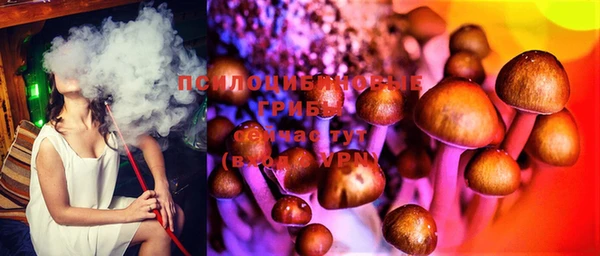 герыч Вязьма